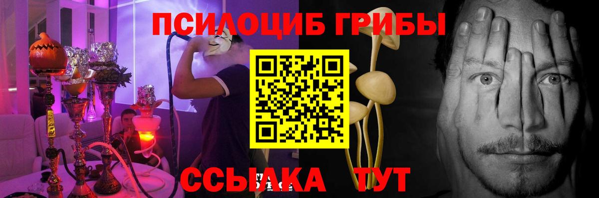 Армавир  Галлюциногенные грибы Psilocybe  Вход с VPN  Псилоцибиновые грибы ЛСД 